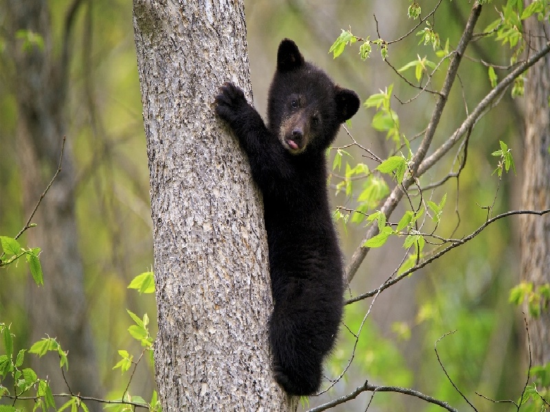 南宁惜缘试管代生机构:怀二胎孕吐反应特大,和孕妇自身以及胎儿都有关