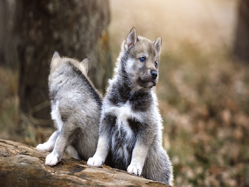 试管性激素变化兰溪哪里做试管试管考察机构签约